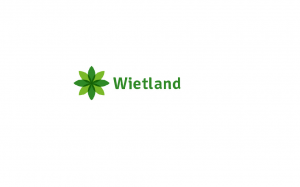 Wietland